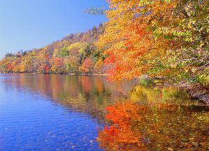 【紅葉・見ごろ】屈斜路湖