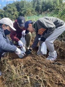 世界一のおいもほり体験
