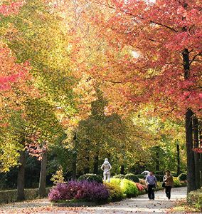 【紅葉・見ごろ】兵庫県立フラワーセンター