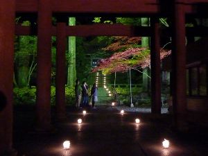 光前寺もみじまつりライトアップ