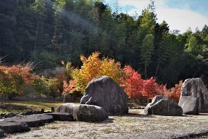 【紅葉・見ごろ】石椛園