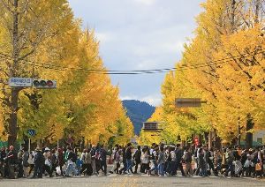 第45回八王子いちょう祭り