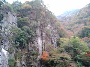 【紅葉・見ごろ】富郷渓谷