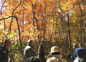 【紅葉・見ごろ】国上山