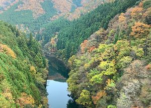 【紅葉・見ごろ】長瀬大橋