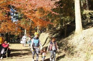 第31回 曽於市悠久の森ウォーキング大会