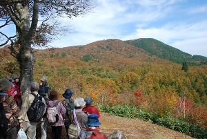 森林公園紅葉ハイク