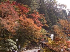 【紅葉・見ごろ】地獄・垂玉温泉