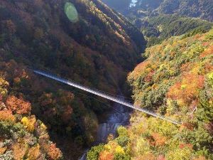 【紅葉・見ごろ】白水滝の吊り橋