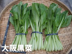 楽しく 知る！ 学ぶ！ 食べる！なにわの伝統野菜