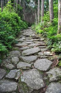 世界遺産登録20周年記念　語り部と歩く熊野古道「伊勢路」ツアー　第1回　石畳の馬越峠を歩く