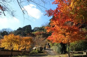 【紅葉・見ごろ】文殊仙寺