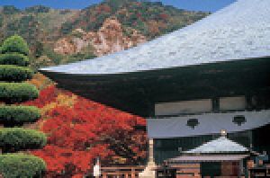 【紅葉・見ごろ】天台宗別格本山 両子寺