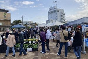 弁慶市（11月）