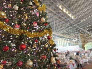 国営越後丘陵公園　Xmasイルミネーション