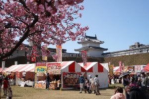 宇都宮城桜まつり