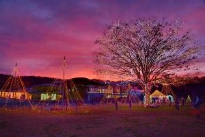 国営越後丘陵公園　Xmasサンセットオープン