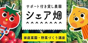 家庭菜園・野菜づくり講座