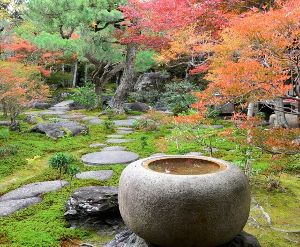 紅葉のおもてなし