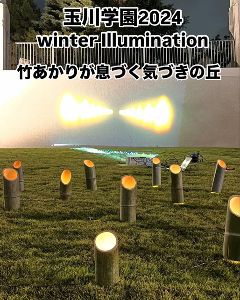玉川学園　2024 Winter Illumination