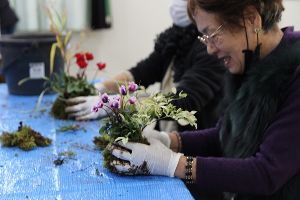 山野草の寄せ植え教室（12月）