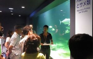 京都大学白浜水族館　研究者と飼育係のこだわり解説ツアー