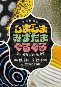 冬の特別展「しましま　みずたま　ぐるぐる　～魚の模様に沼ってます～」