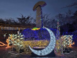 コーラルイルミネーション in Otsuki　2024