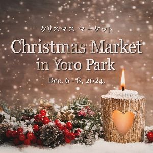 Chistmas Market in Yoro Park