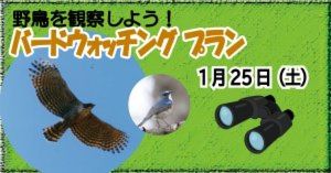バードウォッチングプラン