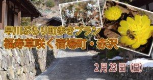 早川ぶらり町あるきプラン　福寿草咲く江戸の宿場町・赤沢