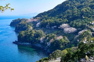 湯の児海上花見船