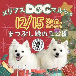 メリアスdogマルシェ　わんこのクリスマス