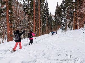 中林の滝スノーシューハイク