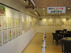 保土ケ谷公園　花壇・樹木の四季スケッチ展