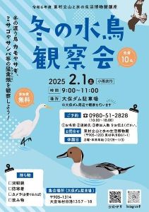 冬の水鳥観察会