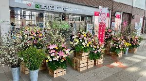ふくおかの花で“おもてなし” 県産花きを使用したフラワーフォトスポット（JR久留米駅）