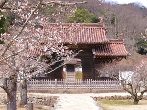 【花・見ごろ】旧閑谷学校の梅