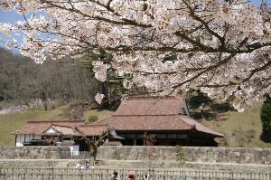 【桜・見ごろ】学びの原郷　旧閑谷学校