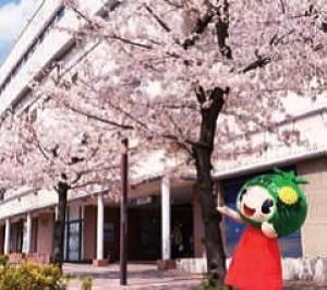 【桜・見ごろ】住道駅前