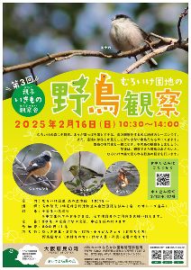 むろいけ園地の野鳥観察