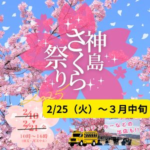 神島さくら祭り2025