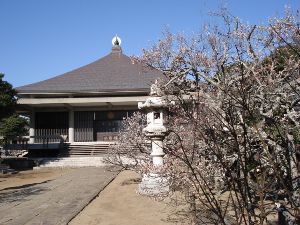 【花・見ごろ】浄國寺の梅