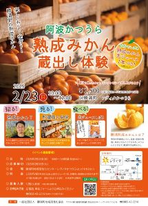 阿波かつうら熟成みかん蔵出し体験