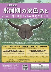 特別企画展「氷河期の景色あと」