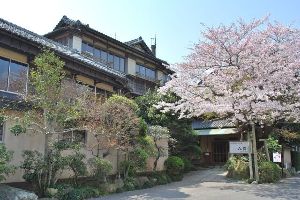 【桜・見ごろ】八鶴湖
