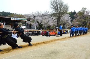 第36回 隠岐島綱引き大会