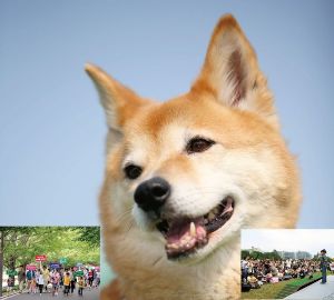愛犬との暮らし方教室 in 城山公園