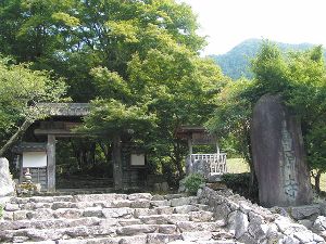 【桜・見ごろ】高源寺