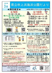初心者インラインスケート教室